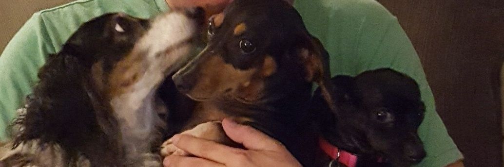RainerJoel's profile banner image