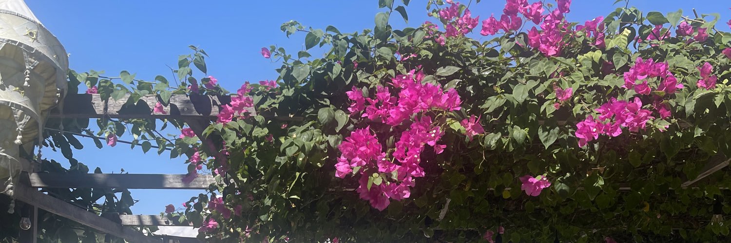 poupy811's profile banner image