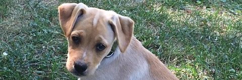 gregmhenderson's profile banner image