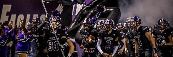 RosepineF Profile Banner