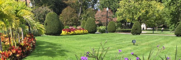 _elizabethrosso Profile Banner