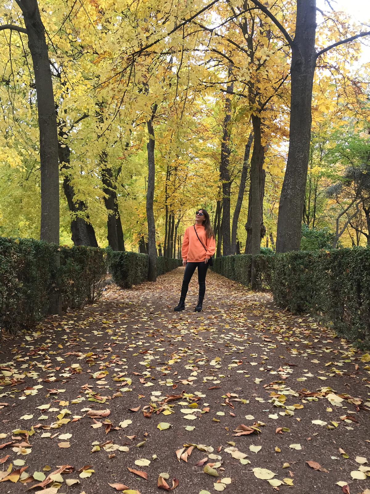 tatii99JB's profile banner image