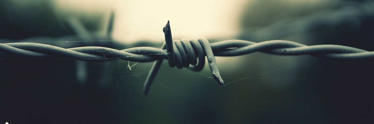 Ahmet Akkaş ⚖️ banner