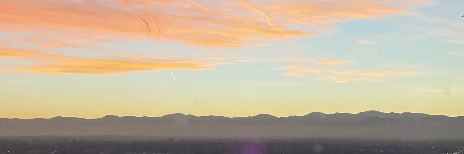 MerBearPig's profile banner image
