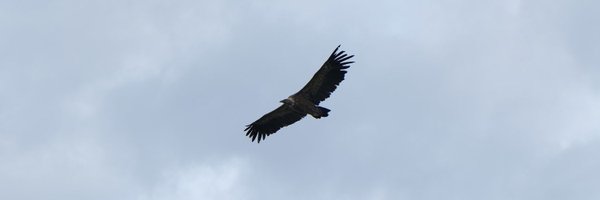 ensexpiring Profile Banner