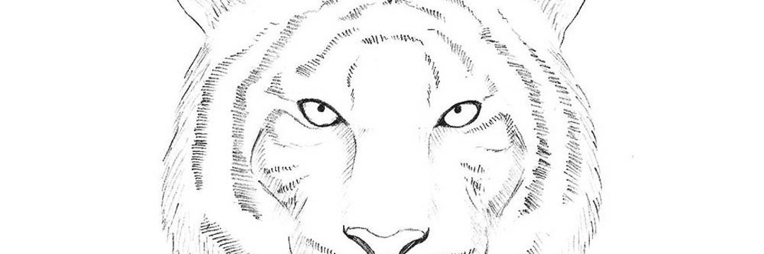 advood's profile banner image