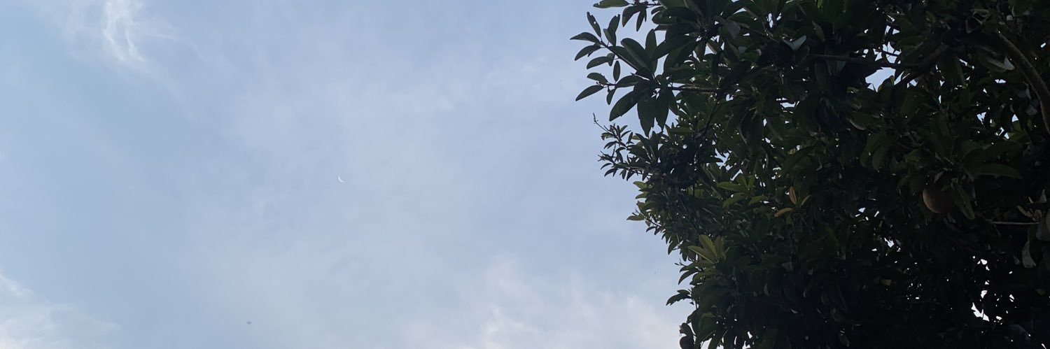tamahandi93's profile banner image