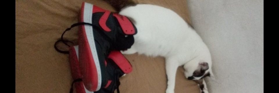 Rinanzika's profile banner image