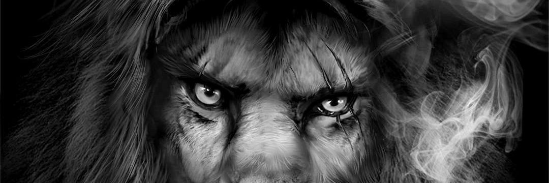 Julissa_Bonn's profile banner image