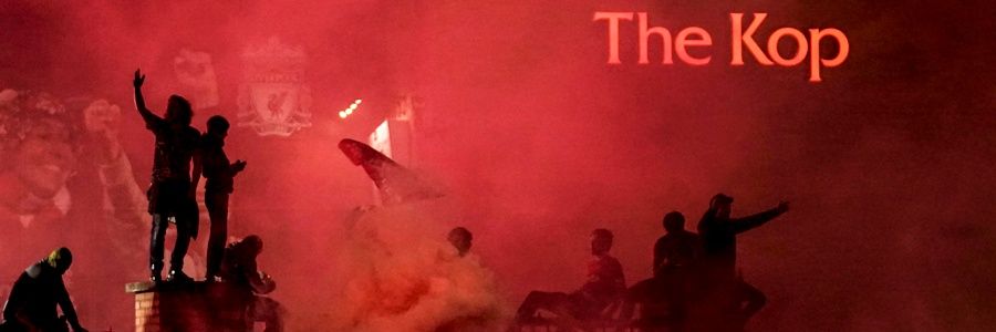 Pushkin banner