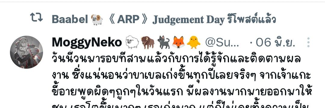 MoggyNeko 🐑🦬🐈‍⬛🦊🐥 banner