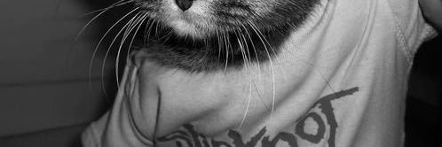 Lune / Haley 🖤🐈‍⬛🕷️ | TEAM FOSSILS 💀🦖🪨's banner
