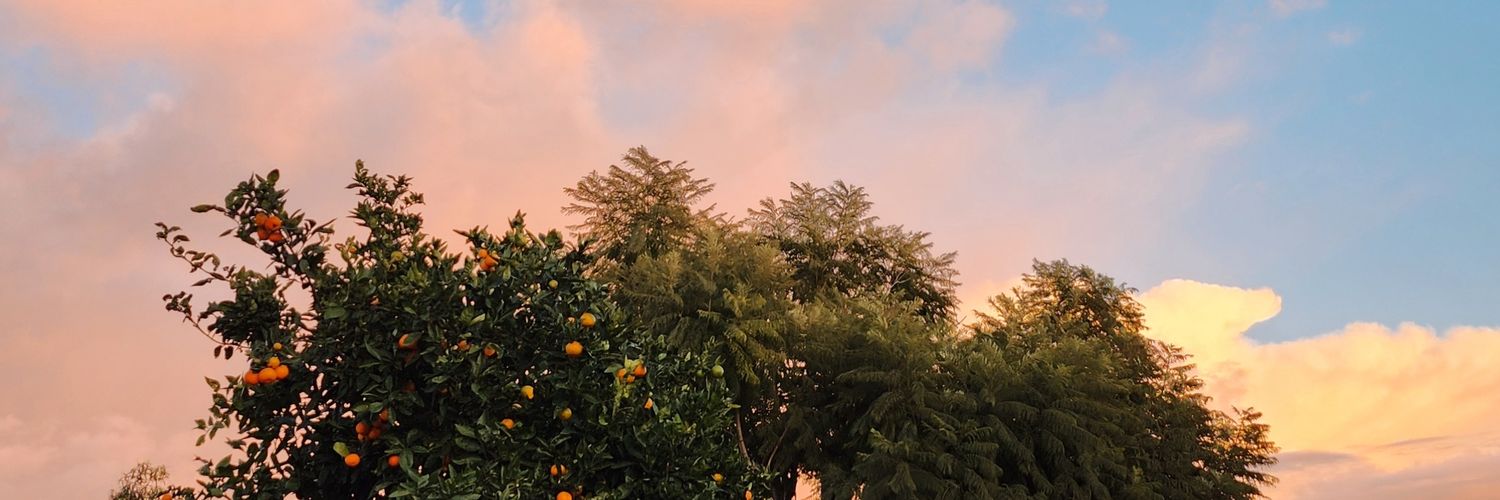 orangeherbtea's profile banner image