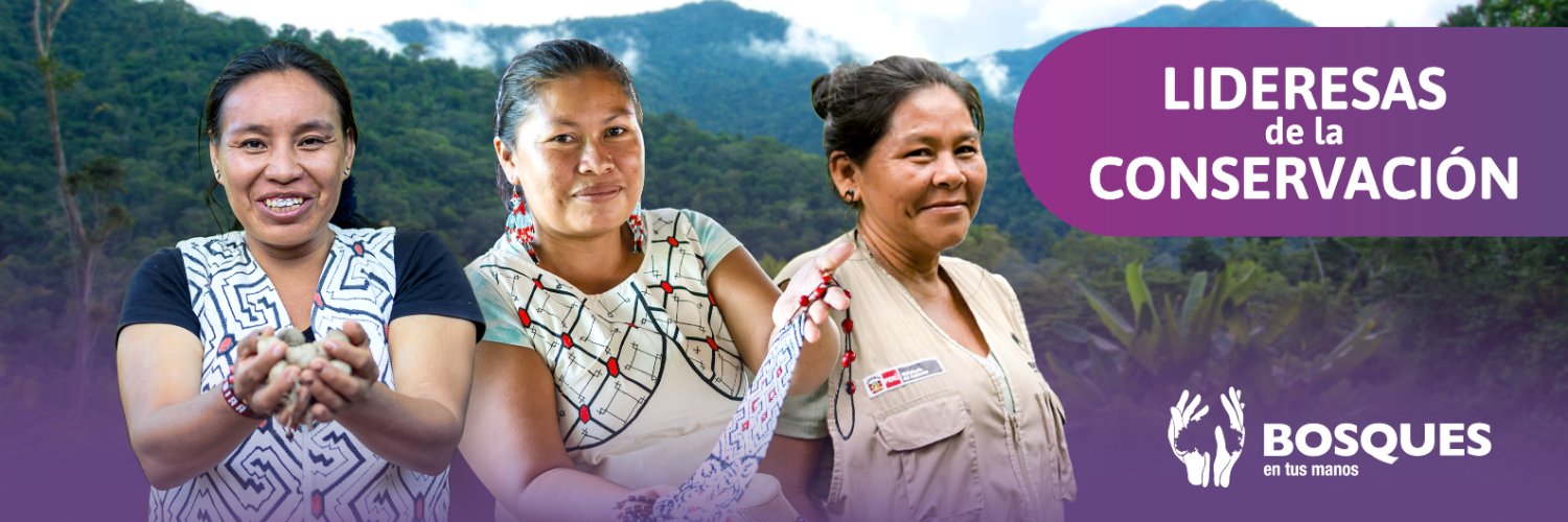 Programa Bosques banner