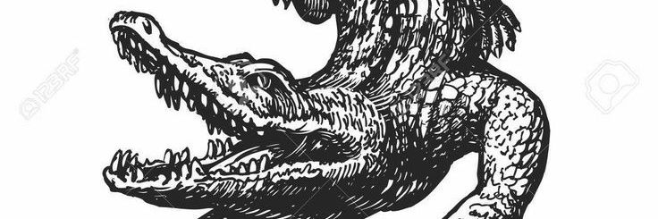 CrocRipper's profile banner image