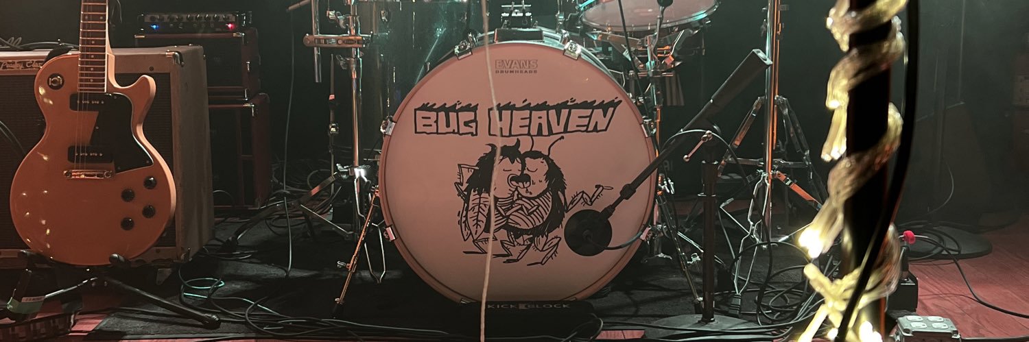 🐛Bug Heaven🌌's banner