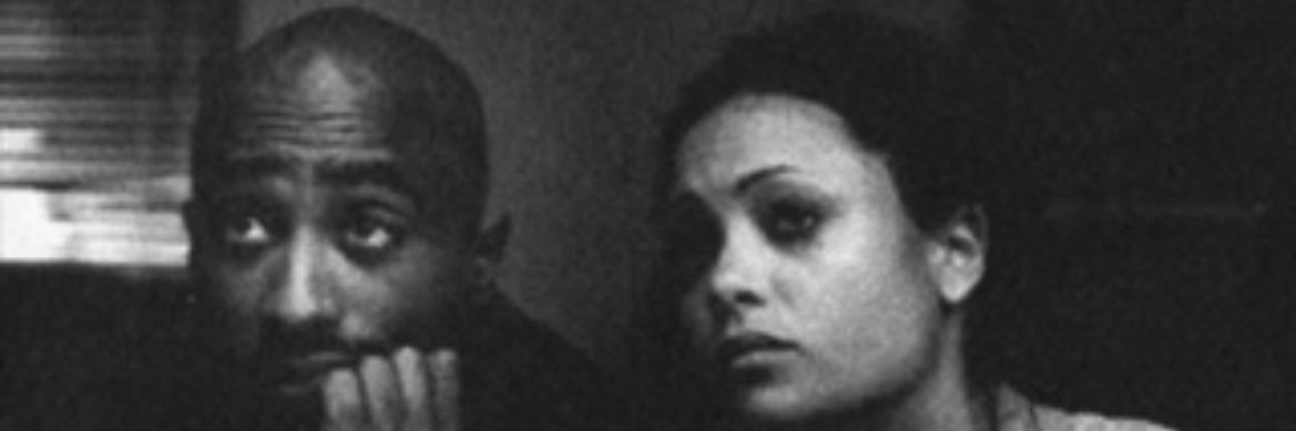 fakescenarioholic banner