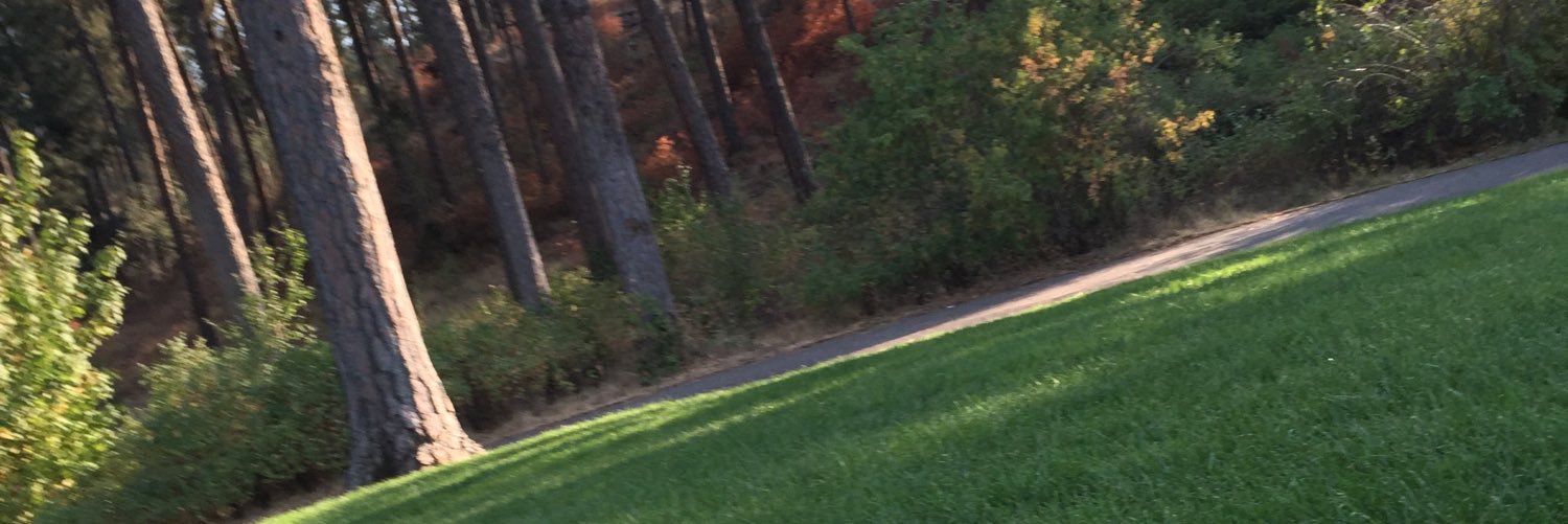 Logan Devleming banner