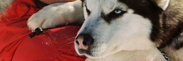 QAQAQQQQQQQQ Profile Banner