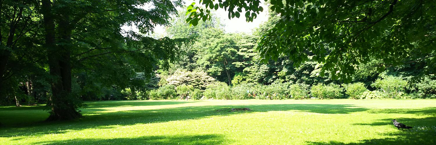 taona2010's profile banner image