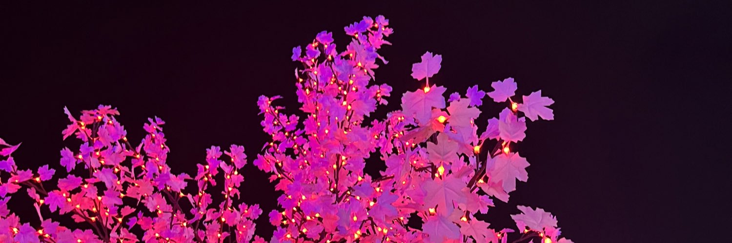 Fraserbabez's profile banner image