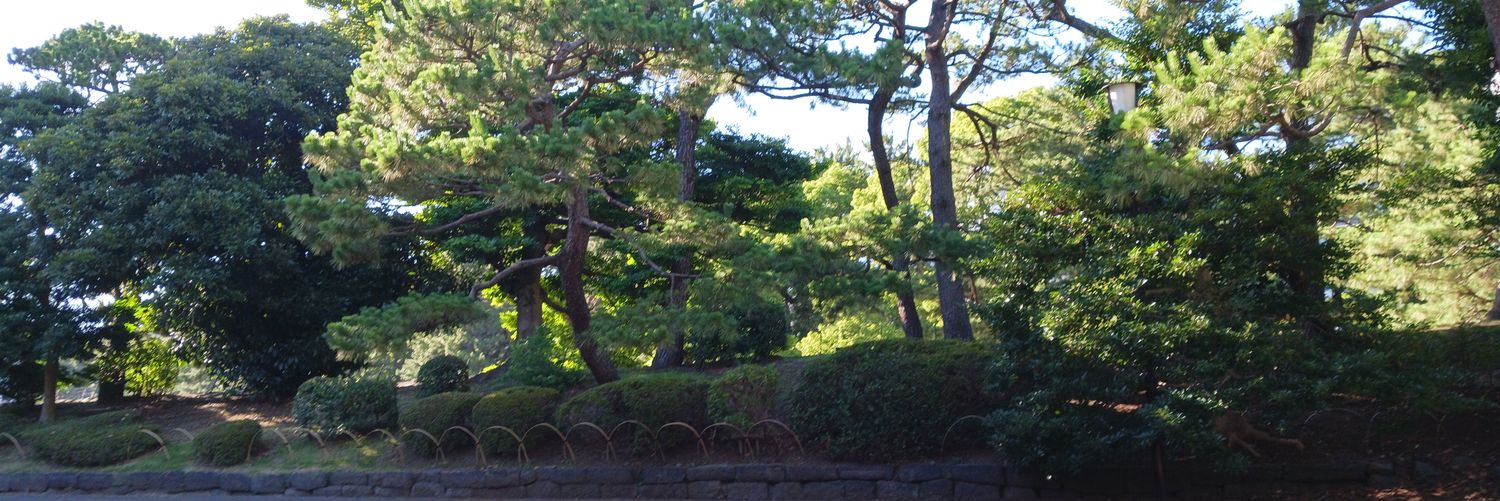 t98538476's profile banner image