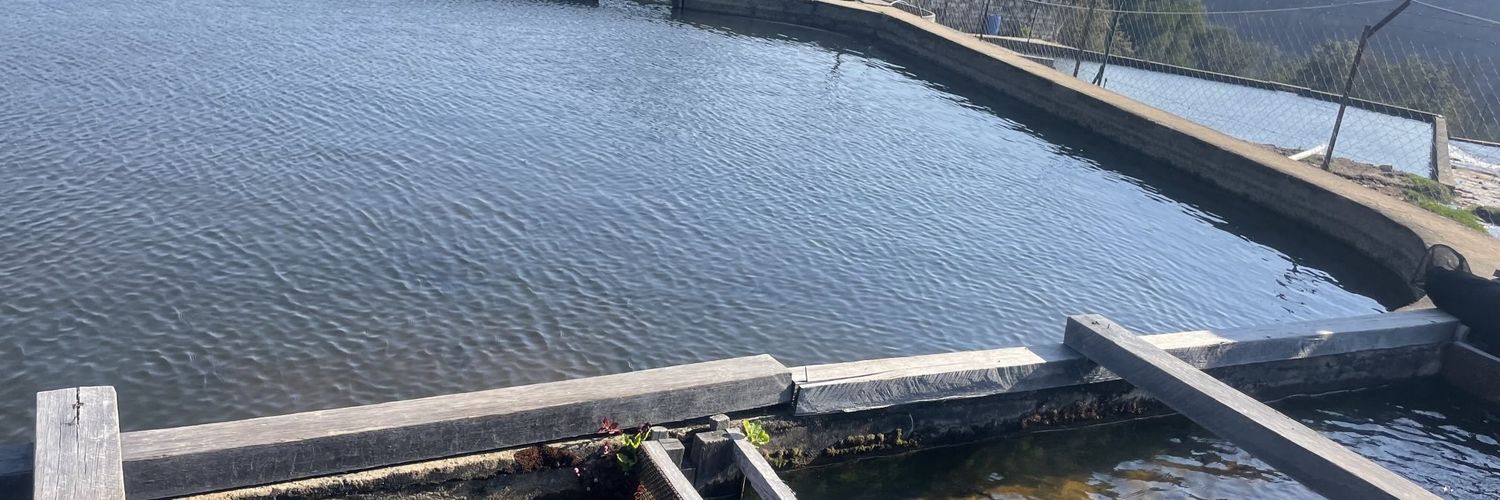 tinashe zvoushe banner