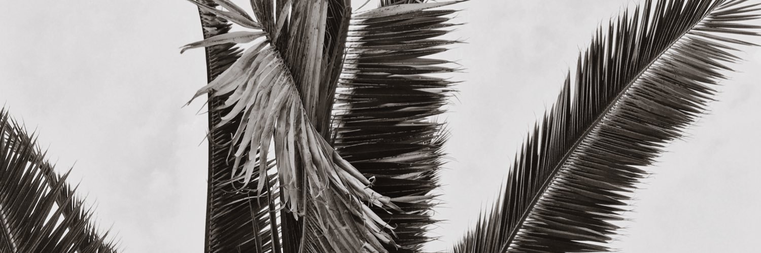 thisisdaywon's profile banner image