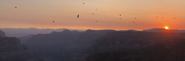 ColinIvoryMeyer Profile Banner