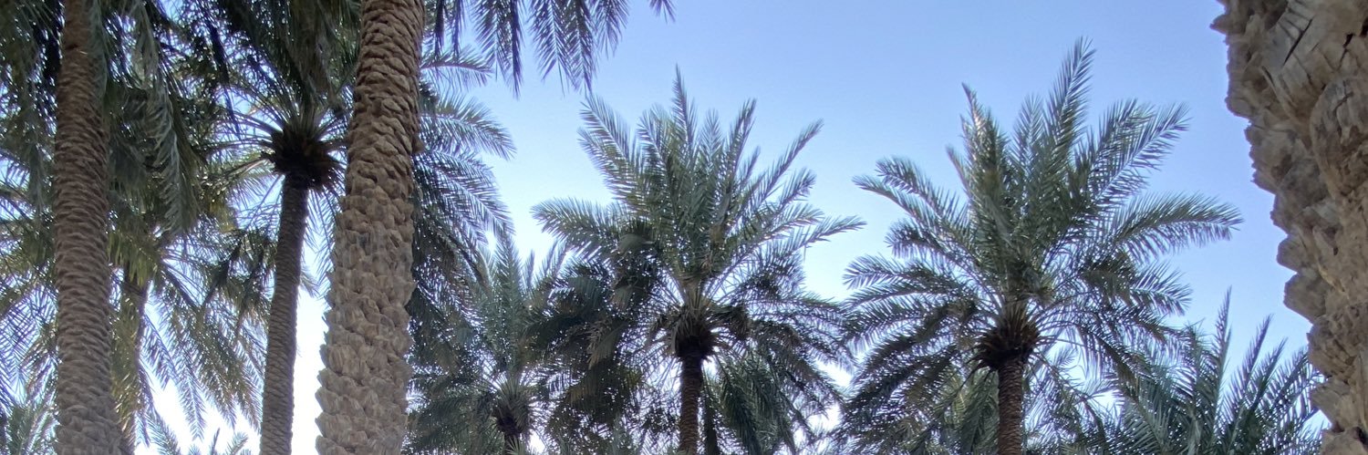 راكان العود🍃|| VAT banner