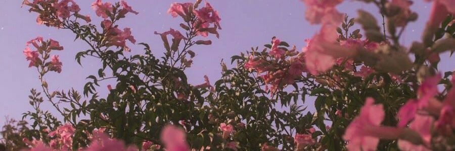 babiba_ba's profile banner image