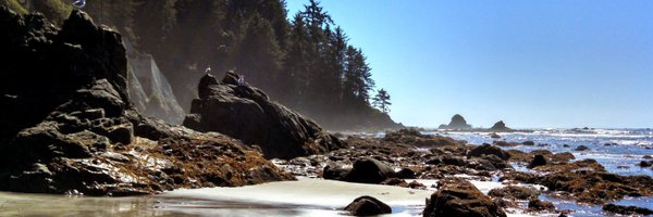 Nomagolide2 Profile Banner