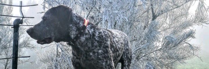 AlexDuqueG9's profile banner image