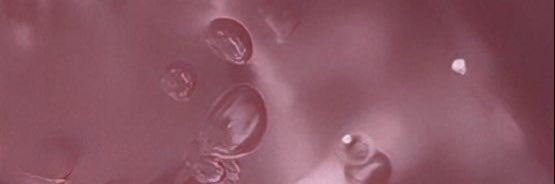 ʙᴏɴ ʙᴏɴ banner