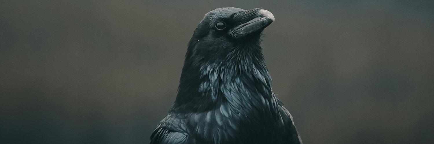 DeneuveRichard's profile banner image