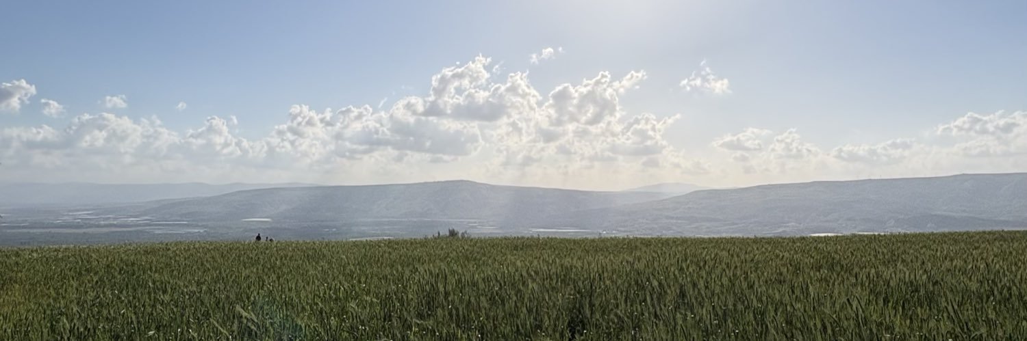 Leena banner