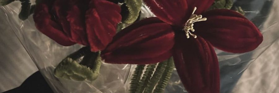 seken banner