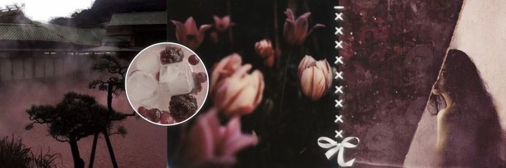 ivi ♱ 🇦🇷 banner