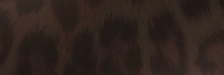 sa banner
