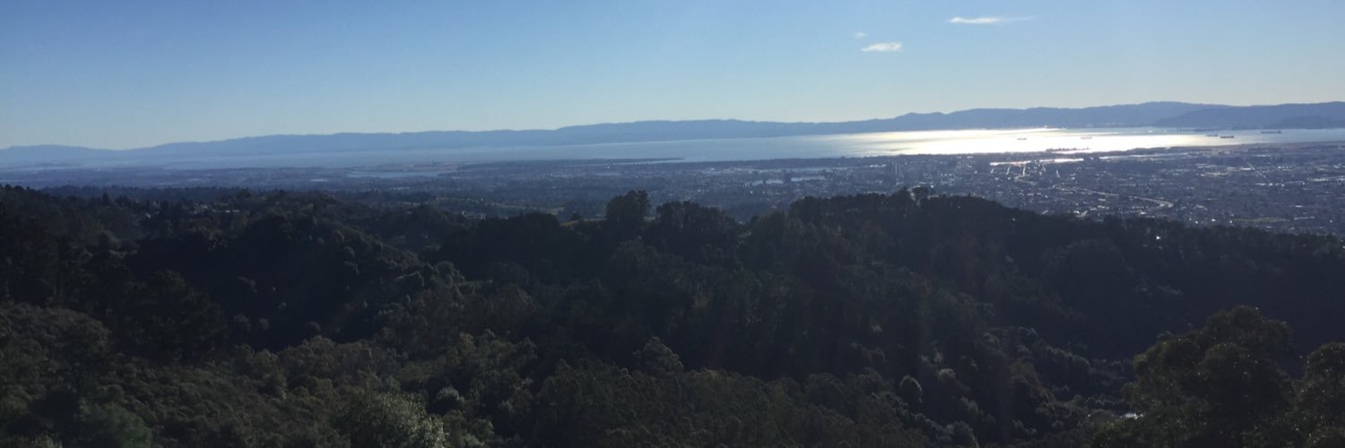 NESScessity's profile banner image