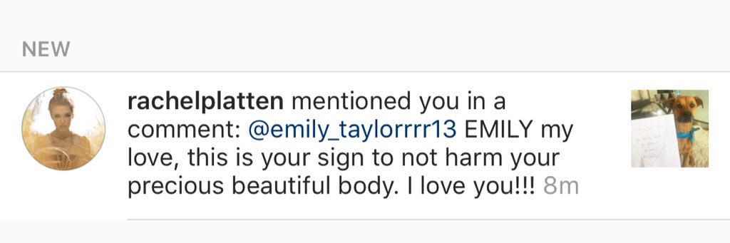 “EMILY, RIGHT?!?” 💜 banner
