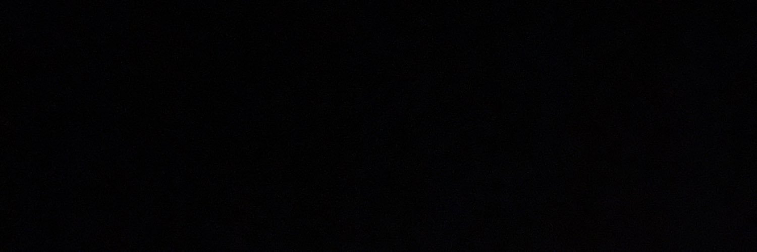 asleny banner