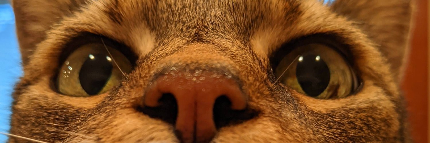 ZeeeTiger's profile banner image