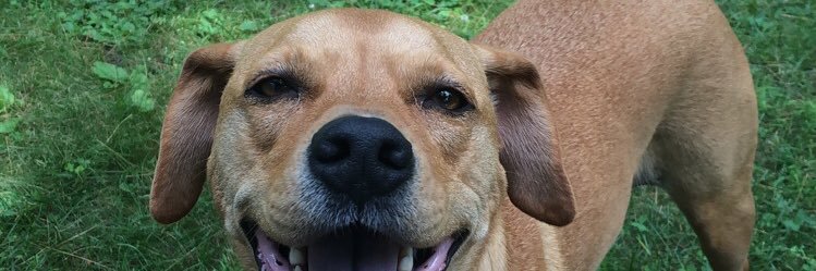 bigslickschu's profile banner image