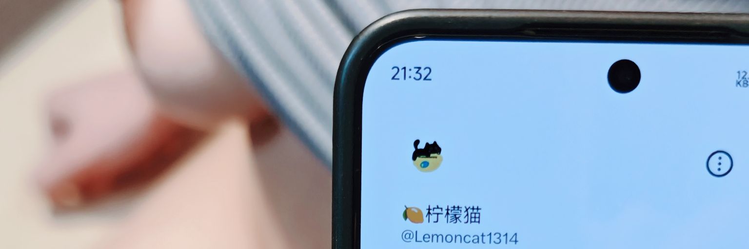 Lemoncat1314's profile banner image