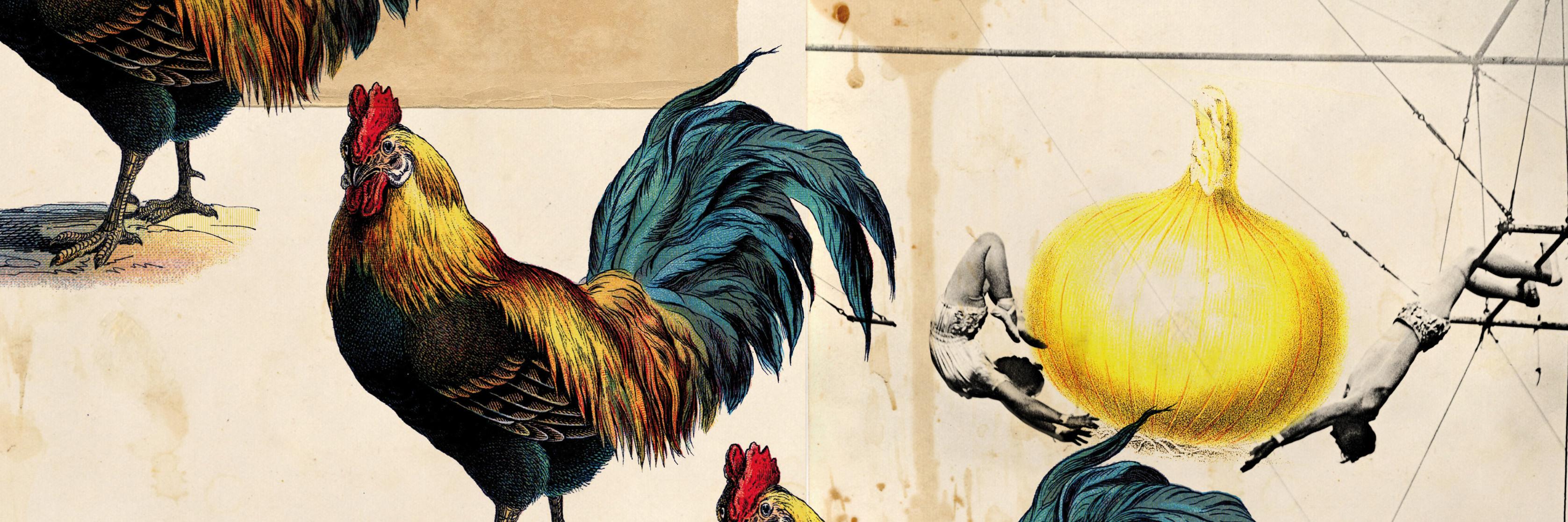 La Trocamba Matanusca banner