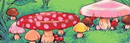 manic pixie dream they banner