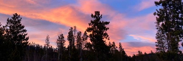 MrsGinger303 Profile Banner