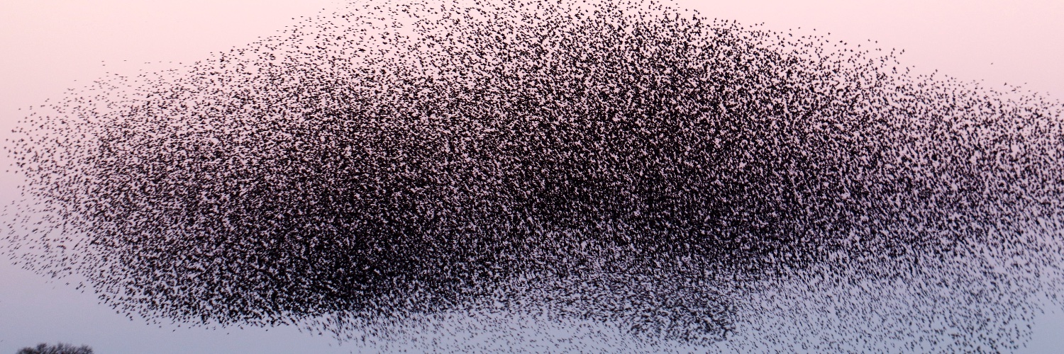 Dr. Roberto Che Espinoza ✊🏽 banner