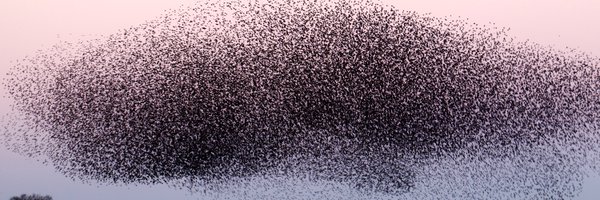 irobyn Profile Banner